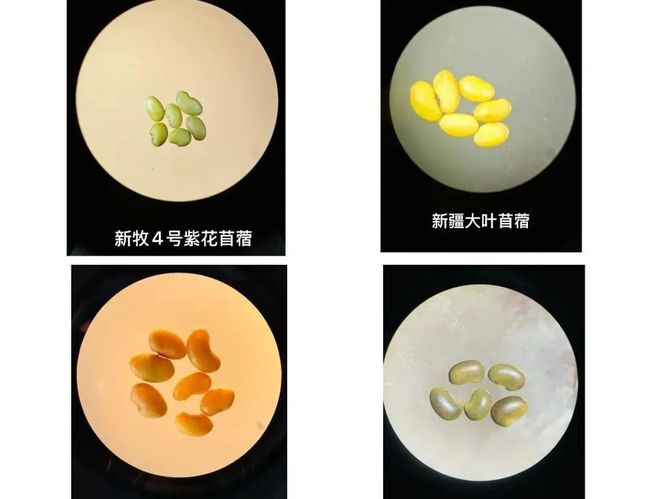 國家級管理創(chuàng)新成果航天科技集團4項成果榜上有名『航天視窗』（1147）(圖2)